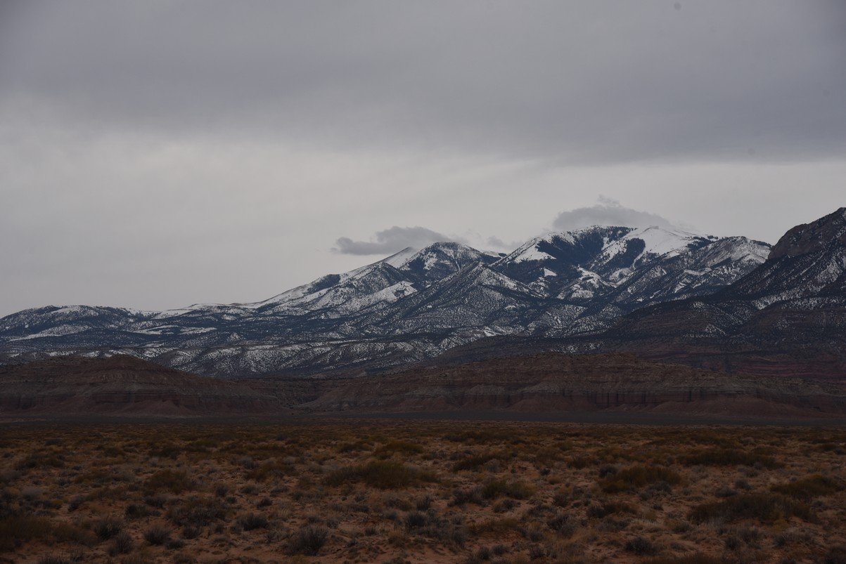 dsc_4495_fs.jpg