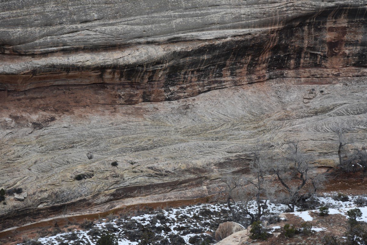 dsc_4615_fs.jpg