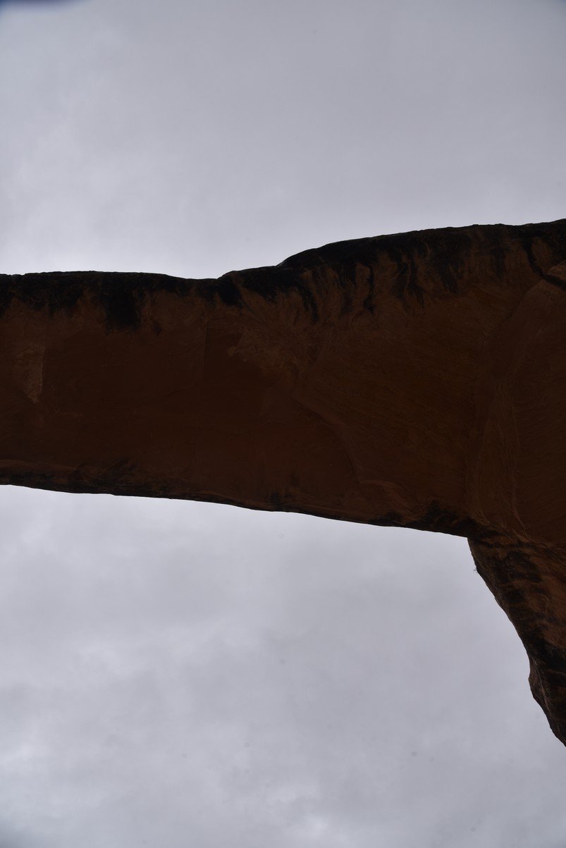 dsc_4650_fs.jpg