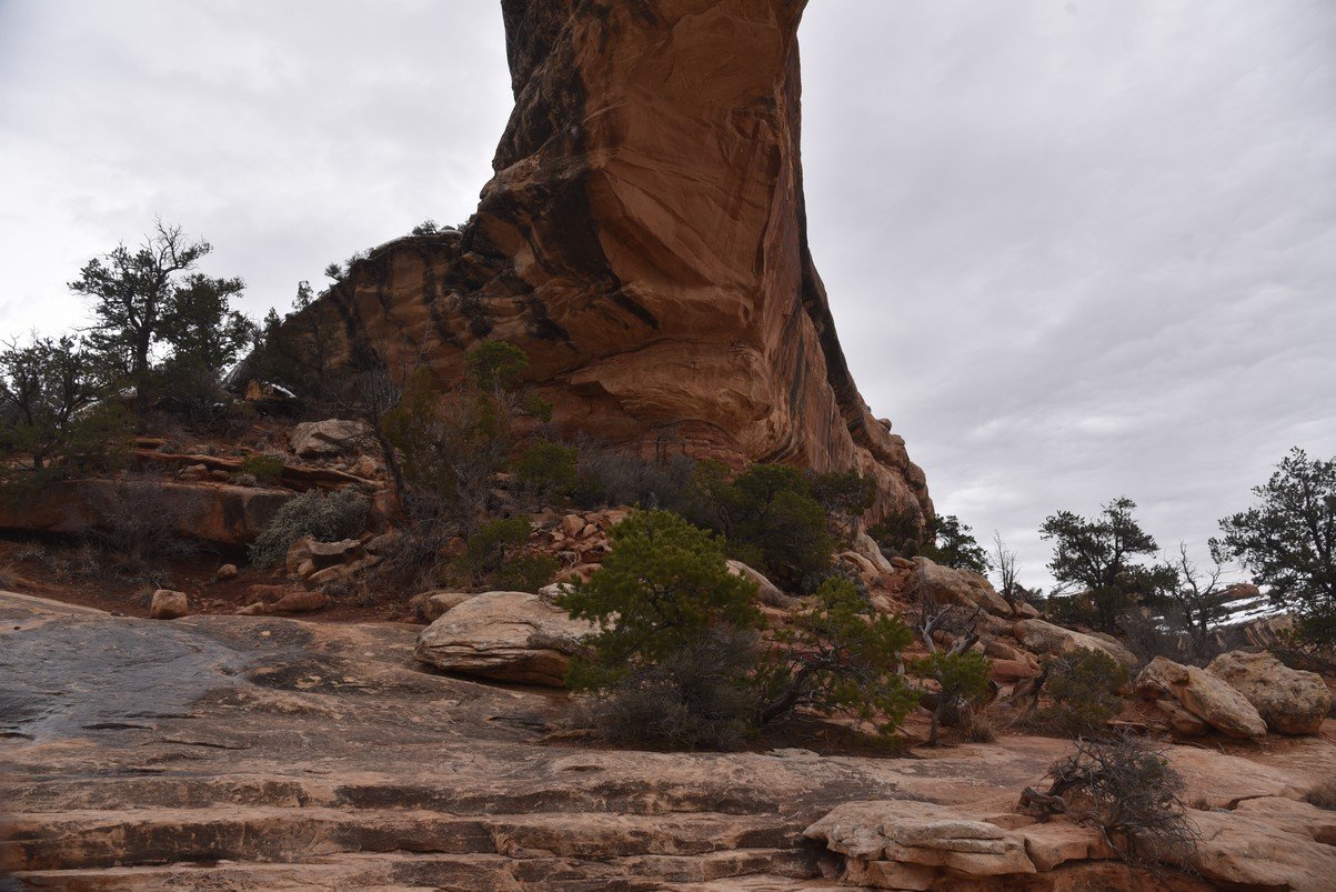 dsc_4655_fs.jpg