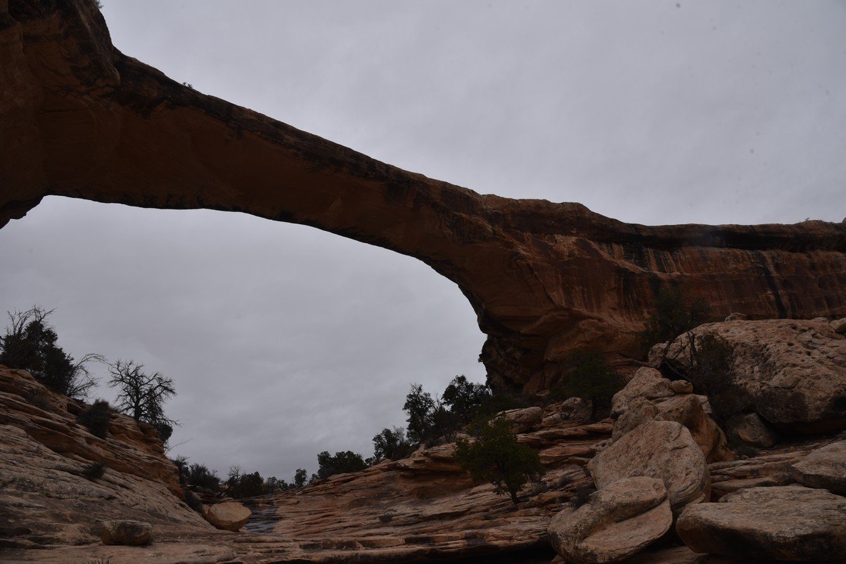 dsc_4676_fs.jpg