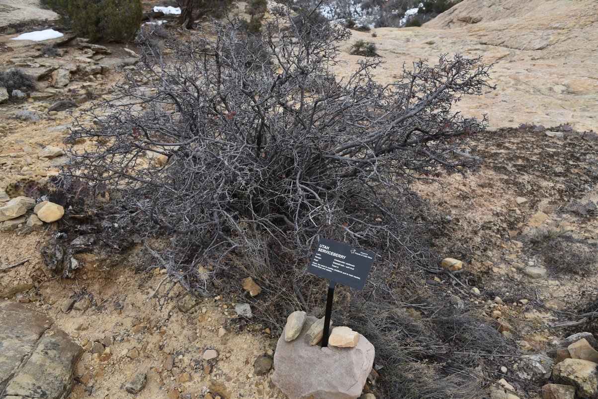 dsc_4780_fs.jpg