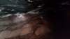 _112236_fs_small.jpg