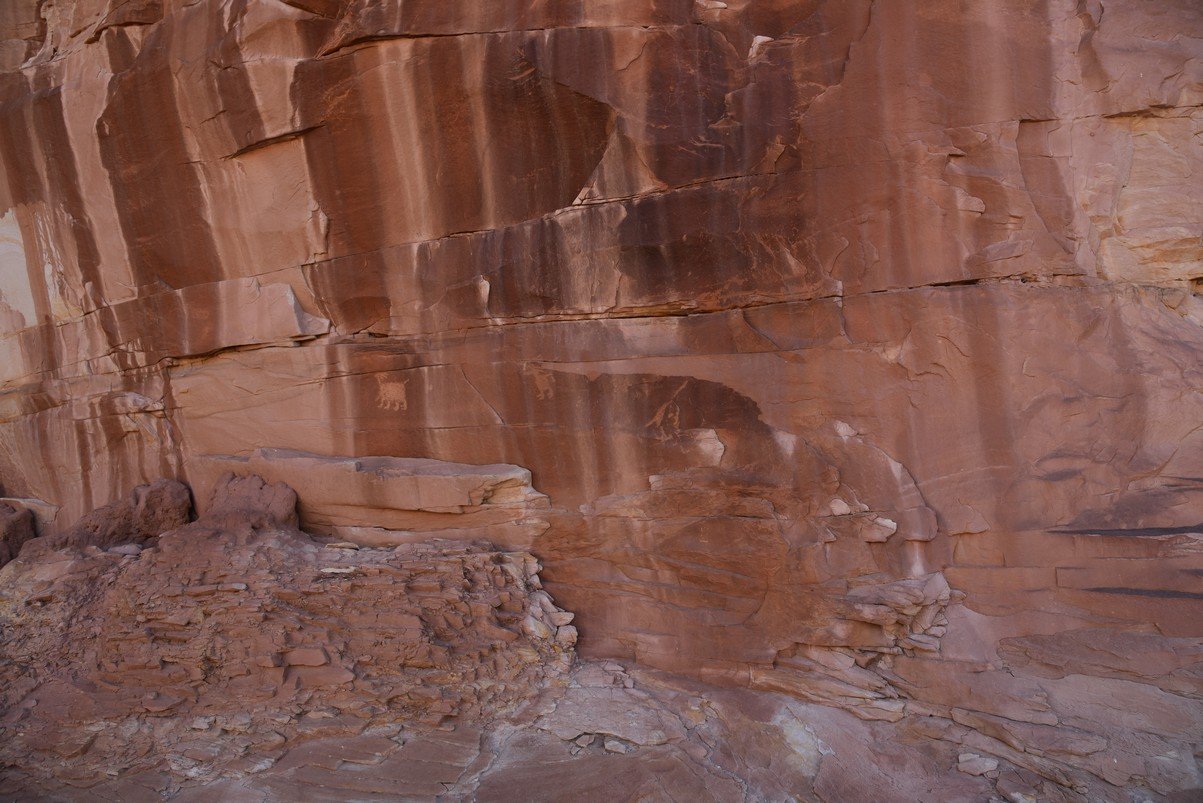 dsc_4898_fs.jpg