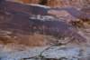 dsc_4913_fs_small.jpg