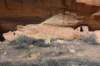 dsc_4929_fs_small.jpg