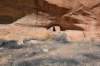 dsc_4930_fs_small.jpg