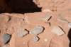 dsc_4935_fs_small.jpg