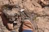 dsc_4937_fs_small.jpg