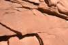 dsc_4940_fs_small.jpg