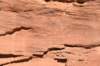 dsc_4948_fs_small.jpg