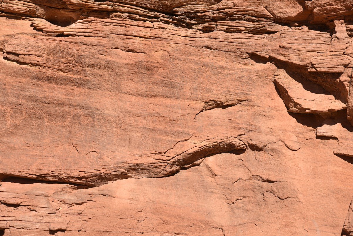 dsc_4950_fs.jpg