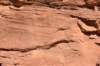 dsc_4950_fs_small.jpg