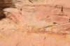 dsc_4953_fs_small.jpg