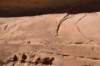 dsc_4957_fs_small.jpg