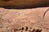 dsc_4958_fs_small.jpg