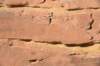 dsc_4961_fs_small.jpg