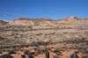 dsc_4973_fs_small.jpg