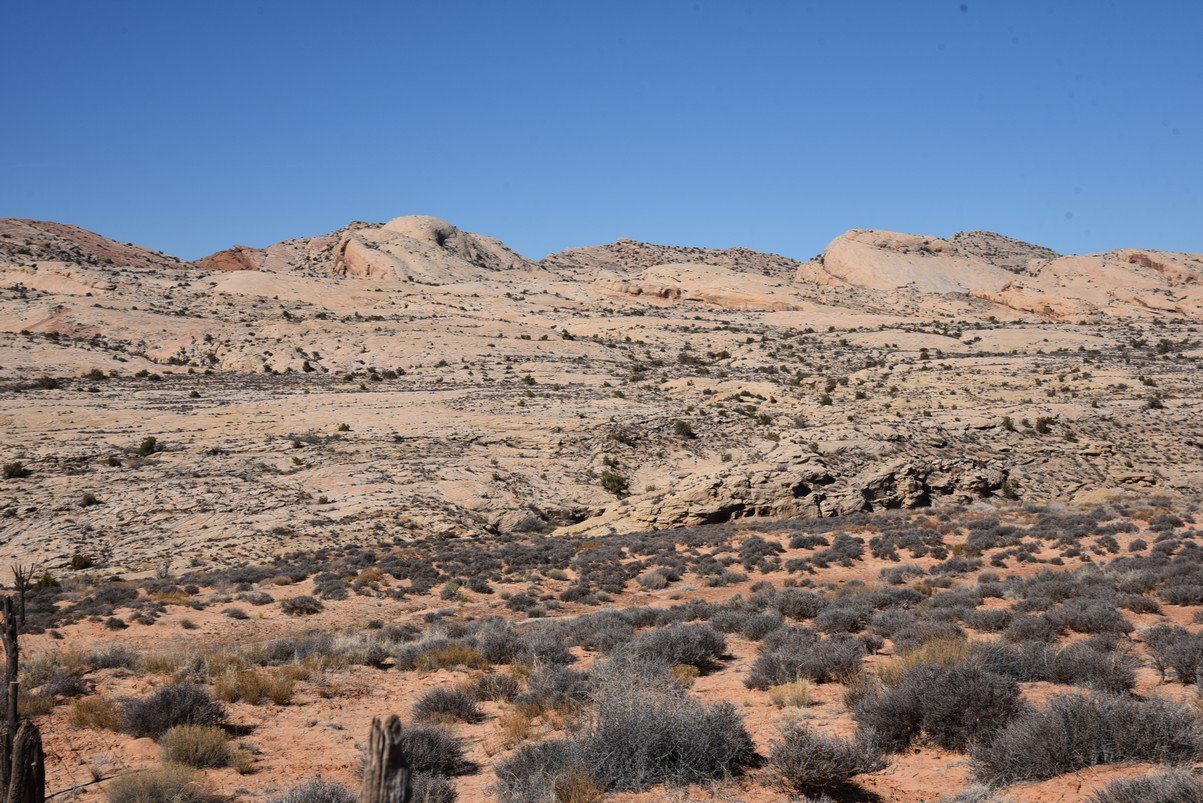 dsc_4974_fs.jpg