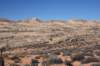 dsc_4974_fs_small.jpg