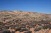 dsc_4975_fs_small.jpg
