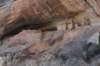 dsc_4998_fs_small.jpg