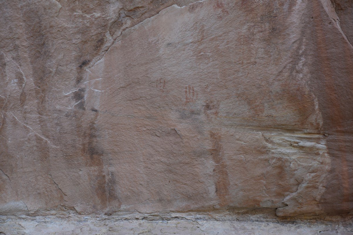 dsc_5000_fs.jpg