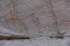 dsc_5001_fs_small.jpg
