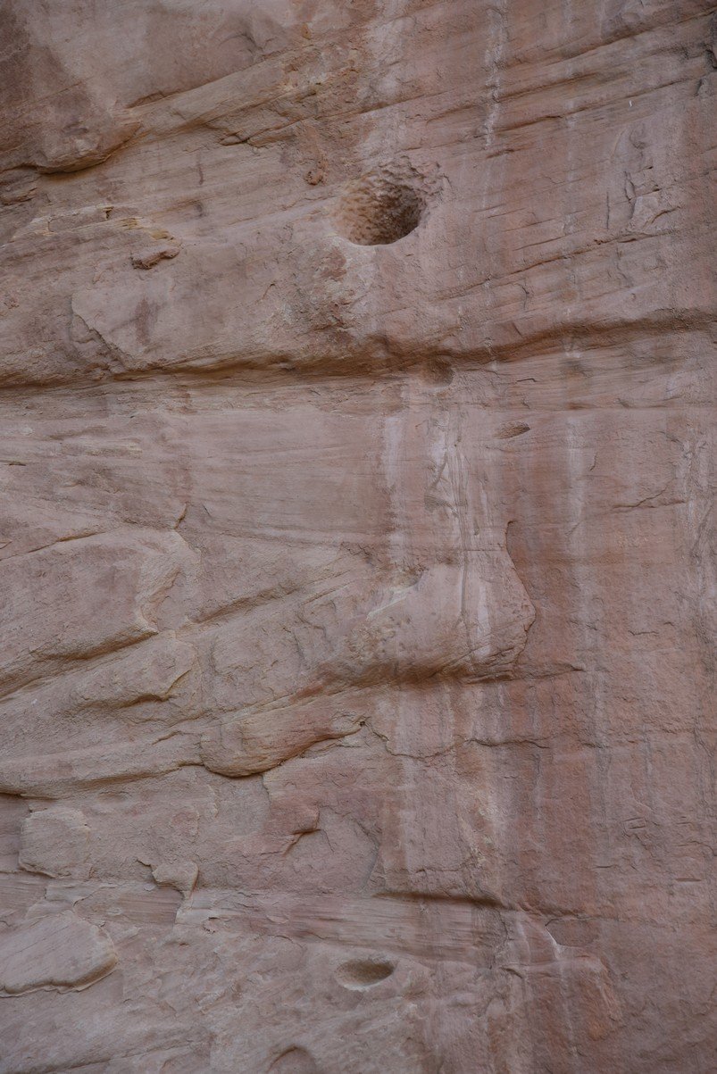 dsc_5006_fs.jpg