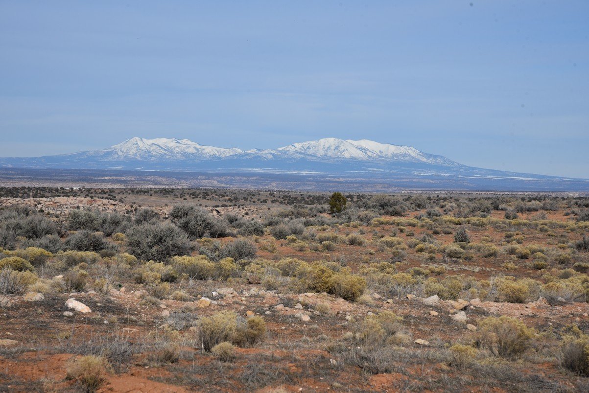 dsc_5071_fs.jpg