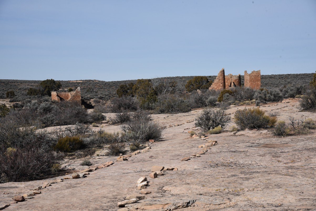 dsc_5142_fs.jpg
