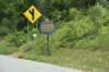 dsc_4499_fs_small.jpg