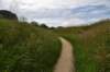 dsc_0004_fs_small.jpg