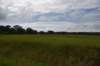 dsc_0013_fs_small.jpg