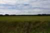 dsc_0014_fs_small.jpg
