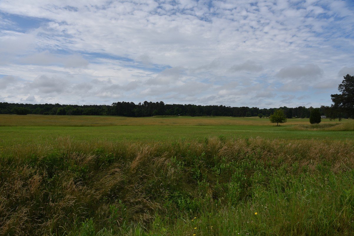 dsc_0015_fs.jpg