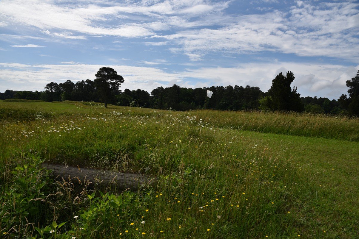 dsc_0053_fs.jpg