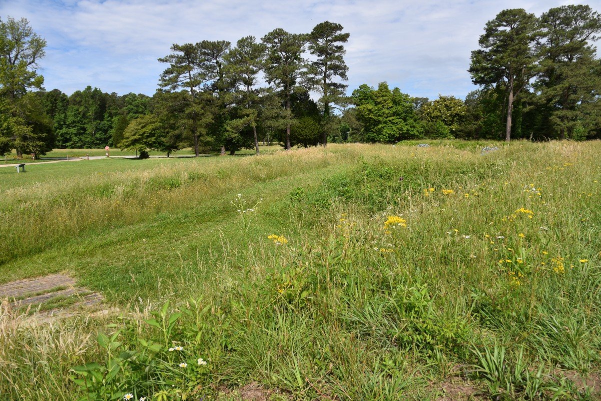 dsc_0074_fs.jpg