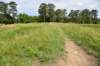 dsc_0075_fs_small.jpg