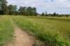 dsc_0076_fs_small.jpg