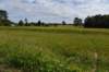 dsc_0077_fs_small.jpg
