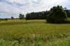 dsc_0078_fs_small.jpg