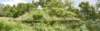dsc_0107_110_pf_fs_small.jpg