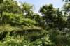 dsc_0107_fs_small.jpg