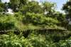 dsc_0108_fs_small.jpg