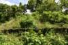 dsc_0109_fs_small.jpg