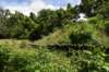dsc_0110_fs_small.jpg