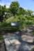 dsc_0113_fs_small.jpg