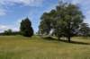 dsc_0115_fs_small.jpg