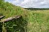 dsc_0140_fs_small.jpg